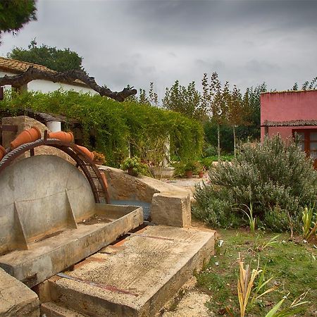 Mas Masdeu Vila L'Aldea Quarto foto
